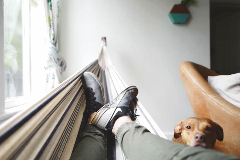 House-Sitting