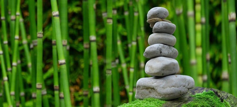 Japanese-Garden