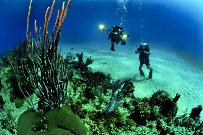 Scuba-Dive