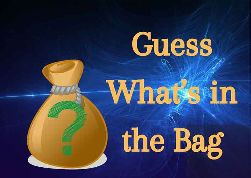 Guess-What’s-in-the-Bag