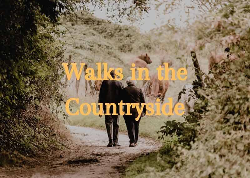 Walks-in-the-Countryside