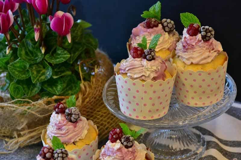 Cup-Cake