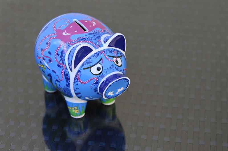 Piggy-Bank-Budget-and-Save