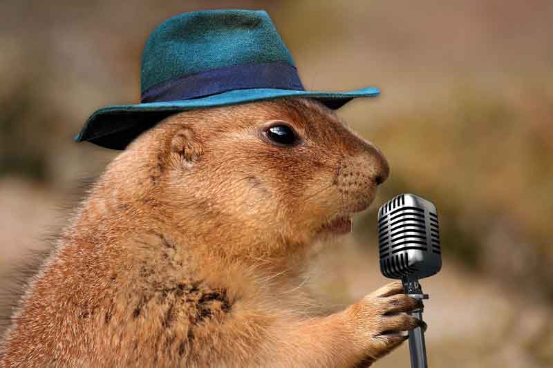 karaoke