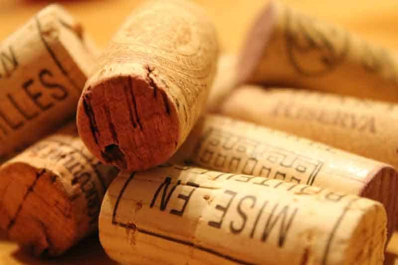 wine-tasting