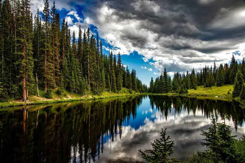 Lake and Trees