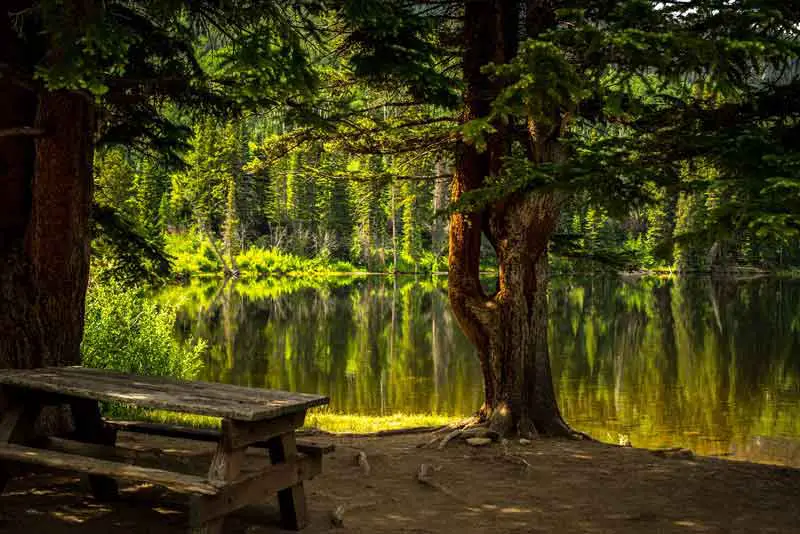 Picnic Table and Lake